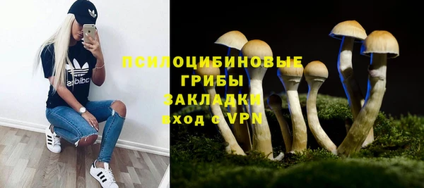 скорость Новокубанск