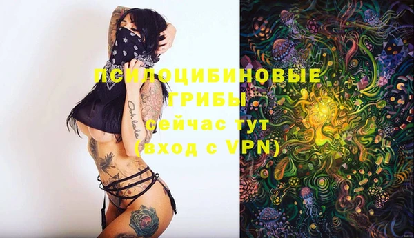 марки lsd Новозыбков
