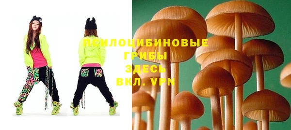 марки lsd Новозыбков