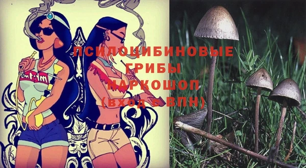 мефедрон мука Новодвинск